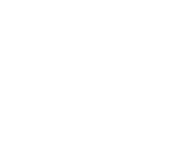 Evolution games at Rocknrolla Casino
